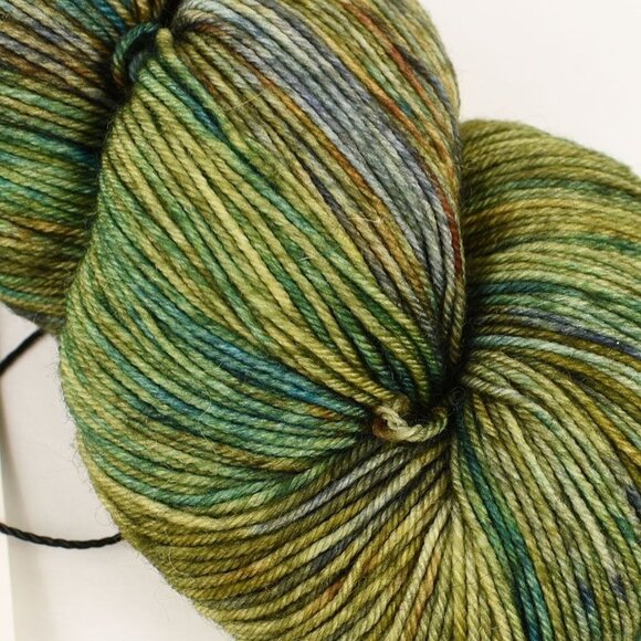 Into the Whirled Pakokku Sock Yarn Superwash Merino Nylon 460 Yards Moscow Mule - Picture 2 of 3